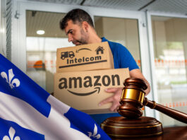 CIRB Decision on Intelcom